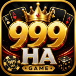 999HA Game