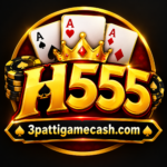 H555 Game