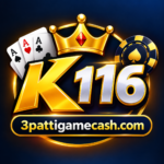 K116 Game